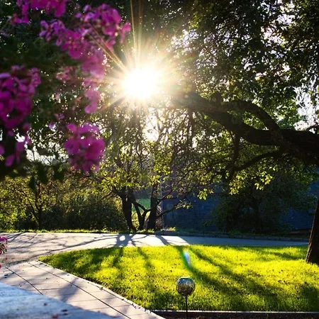 Oda ve Kahvaltı Puster