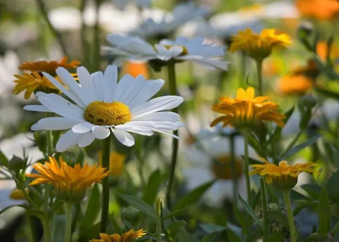 Nocleg ze śniadaniem Puster Gobernitz